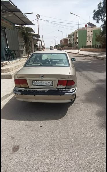 شام شام 2010 - صورة 3