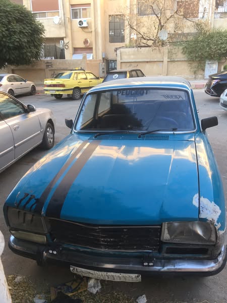 بيجو 304 1976 - صورة 2