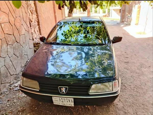 بيجو 405 1992 - صورة 1