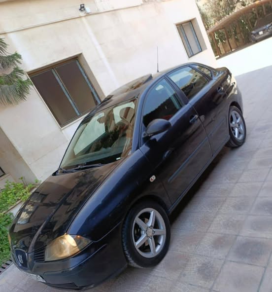 سيات كوردوبا 2010 - صورة 4