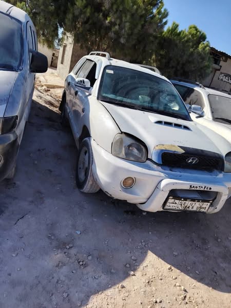 هيونداي سنتافيه 2001 - صورة 1