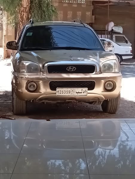 هيونداي سانتافي 2004 - صورة 1