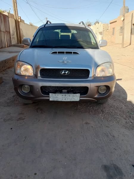 هيونداي سنتافي 2003 - صورة 1