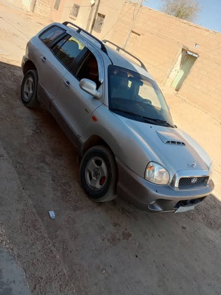 هيونداي سنتافي 2003 - صورة 4