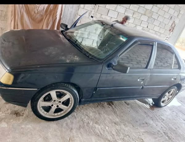 بيجو 405 1994 - صورة 3