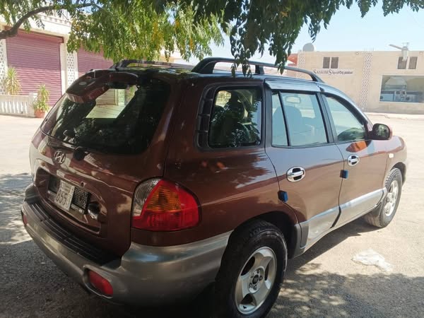 هيونداي سانتافي 2001 - صورة 3