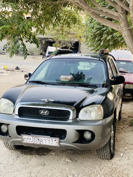 هيونداي سانتا في 2003 - صورة 1