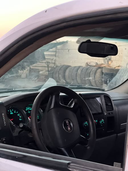 Chevrolet Silverado 2010 - صورة 2