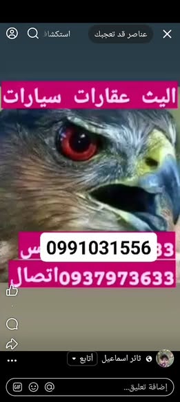 كيا Sorento 2017 - صورة 2
