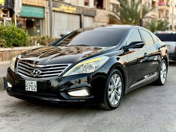 هيونداي غرندور 2011 - صورة 1