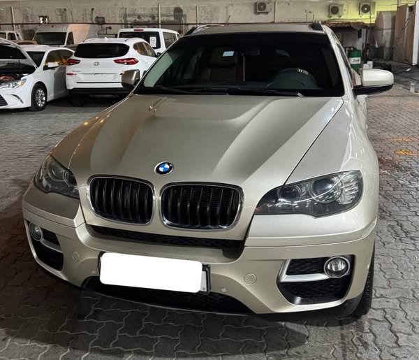 بي ام دبليو X6 2013 - صورة 1