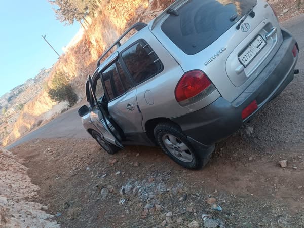 هيونداي سانتا في 2005 - صورة 4