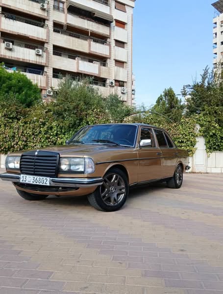 مرسيدس بنز 280 1981 - صورة 3