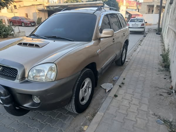 هيونداي سنتافي 2003 - صورة 2