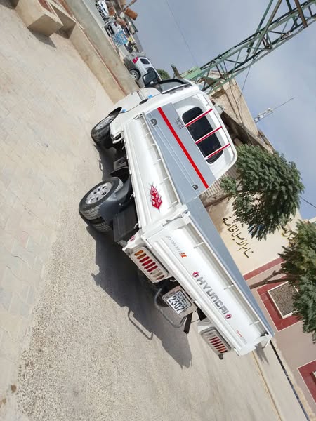 هيونداي بورتر 2010 - صورة 2