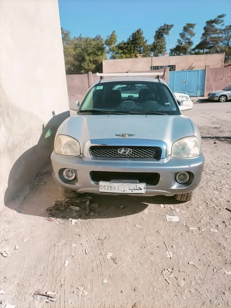 هيونداي سانتا في 2004 - صورة 5