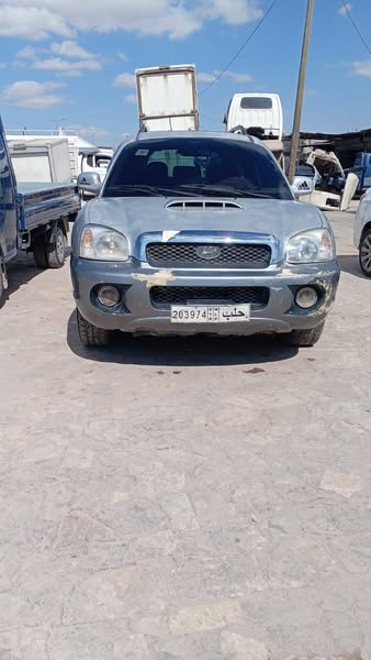 هيونداي سانتا في 2003 - صورة 1