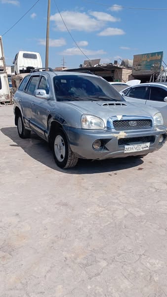 هيونداي سانتا في 2003 - صورة 2