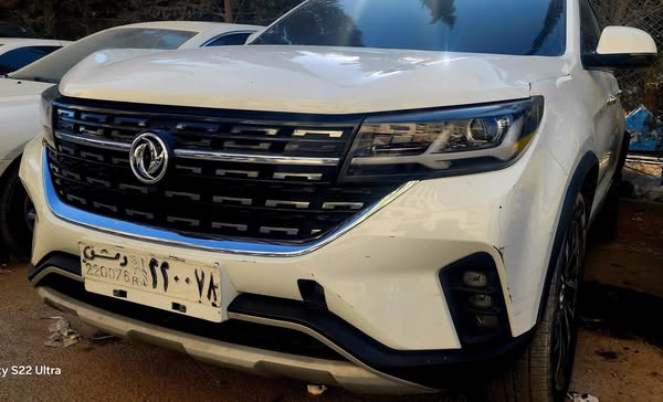 دونغفنغ تي 5 ال 2020 - صورة 2