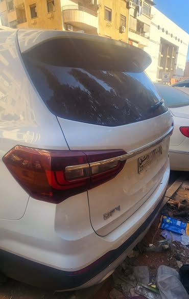 دونغفنغ تي 5 ال 2020 - صورة 4