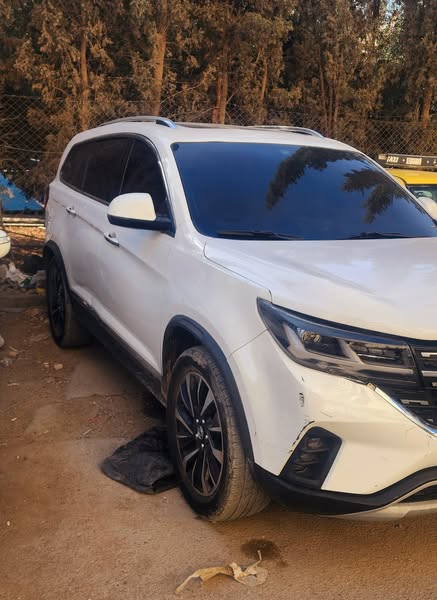 دونغفنغ تي 5 ال 2020 - صورة 3