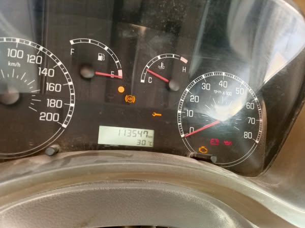 جريت وول كول بير 2008 - صورة 4