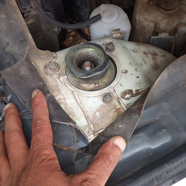 هافاي سونغ 2012 - صورة 1