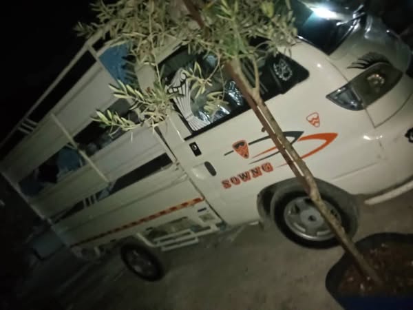 هافاي سونغ 2012 - صورة 4