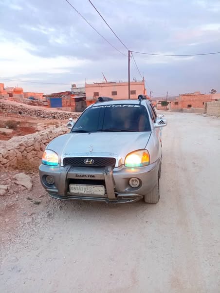 هيونداي سنتافي 2004 - صورة 3