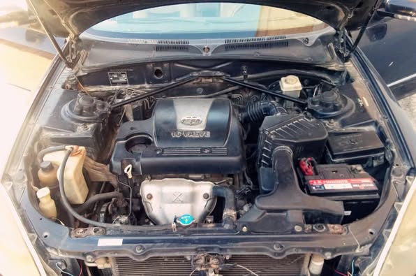 برلنـس BS4 2008 - صورة 5