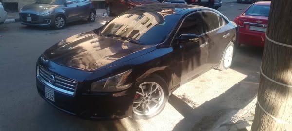 نيسان ماكسيما 2013 - صورة 1