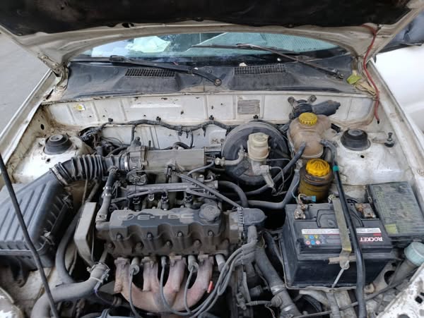 زاز كرتا 2010 - صورة 4