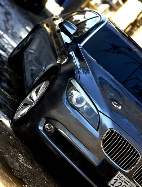 بي ام دبليو 740Li 2012 - صورة 2