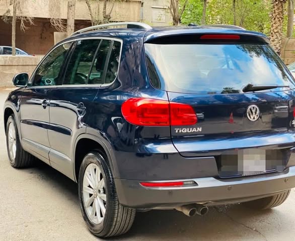 فولكس فاكن تيغوان 2009 - صورة 2