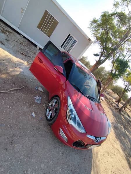 هيونداي فوليستر 2013 - صورة 1