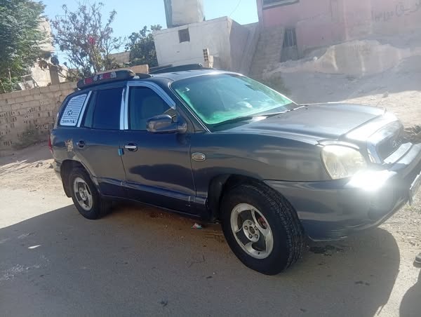 هيونداي سانتا في 2004 - صورة 3