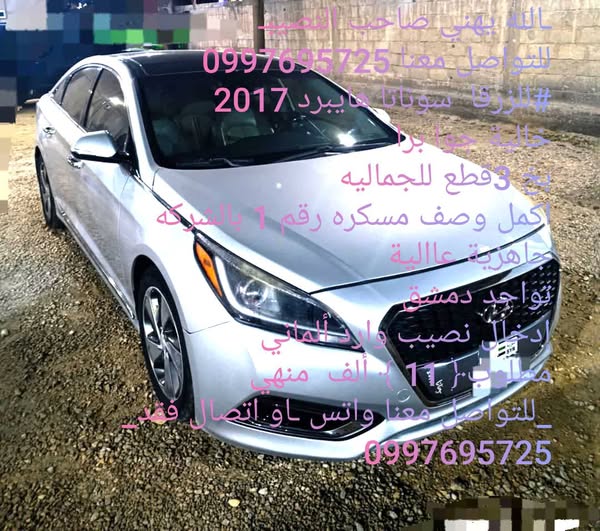 كيا اوبتيما 2013 - صورة 1