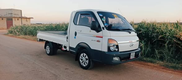 هيونداي بورتر 2015 - صورة 2