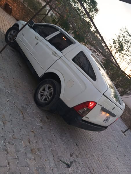 سانج يونج أكتيون 2008 - صورة 1