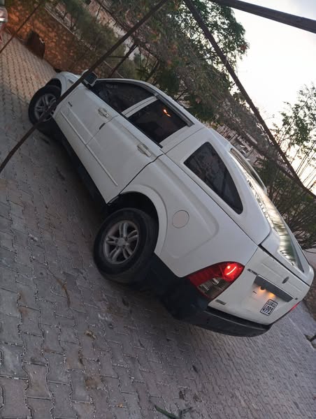 سانج يونج أكتيون 2008 - صورة 4