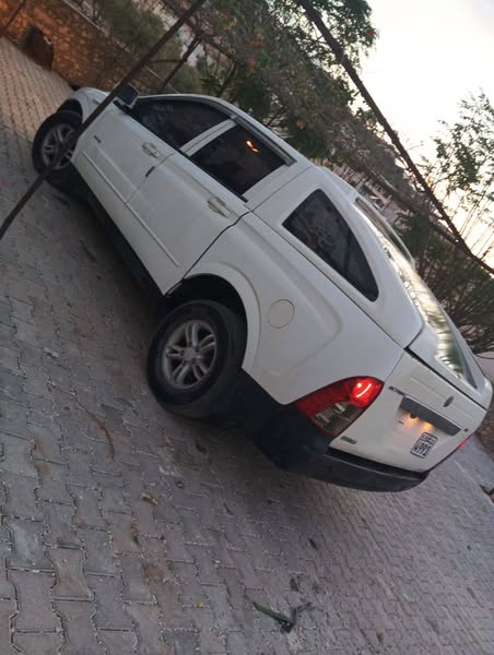 سانج يونج أكتيون 2008 - صورة 2