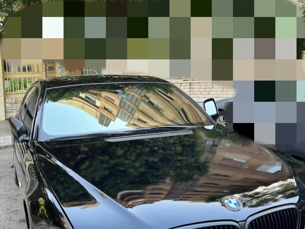 BMW 730Li 2008 - صورة 3