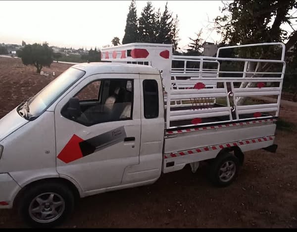 هافي مني 2007 - صورة 2