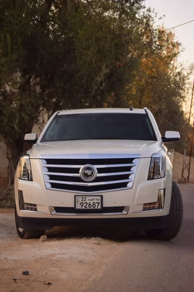 كاديلاك اسكاليد 2015 - صورة 4