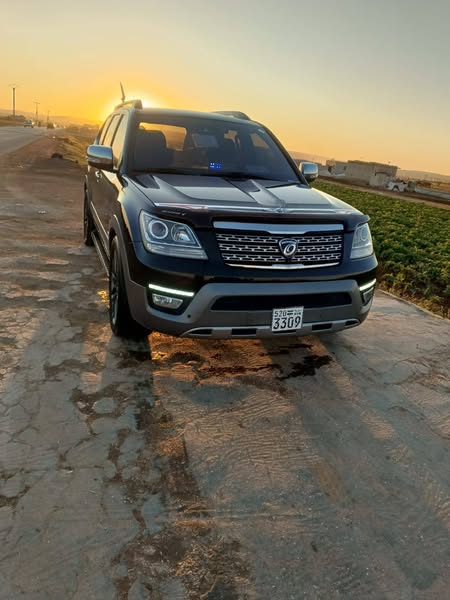 سانغ يونغ مهافي 2017 - صورة 1