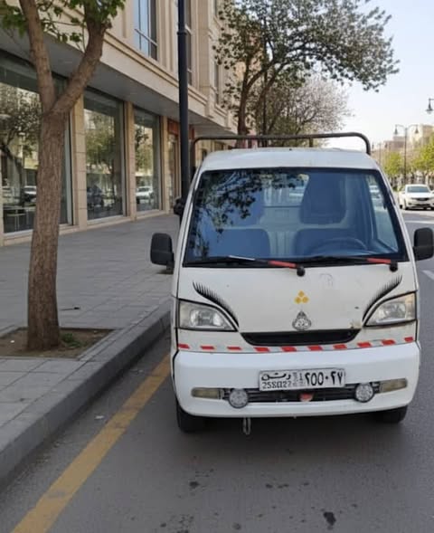 HAFEI Song 2007 - صورة 2