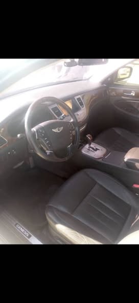 Genesis Genesis 2010 - صورة 4