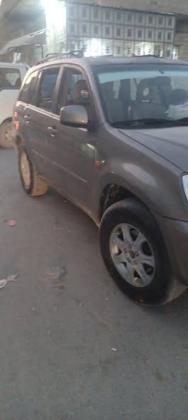 شيري كرت 2011 - صورة 5