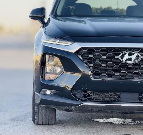 هواندي سنتافي 2020 - صورة 5