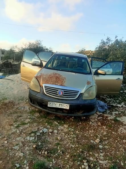 جيلي CL 2010 - صورة 4